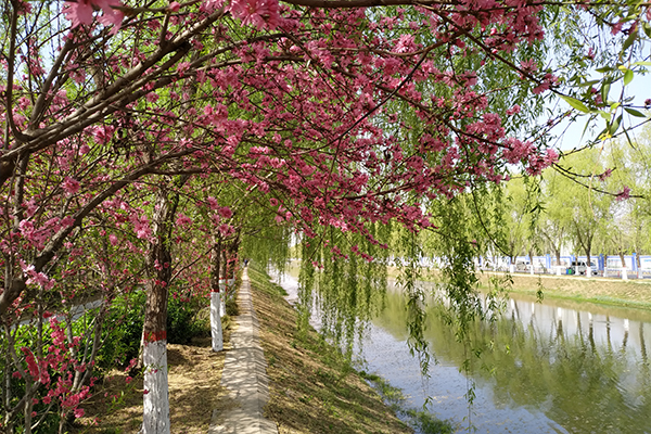 河道保洁