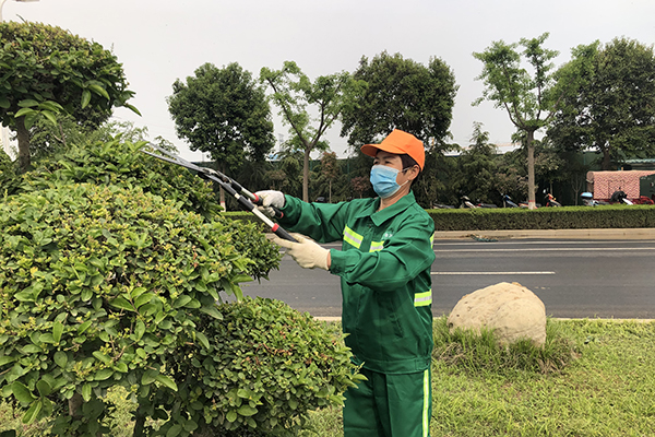 园林绿化养护