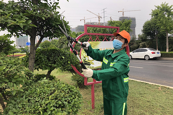 园林绿化养护