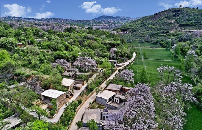 禹州市农村生活垃圾治理市场化项目